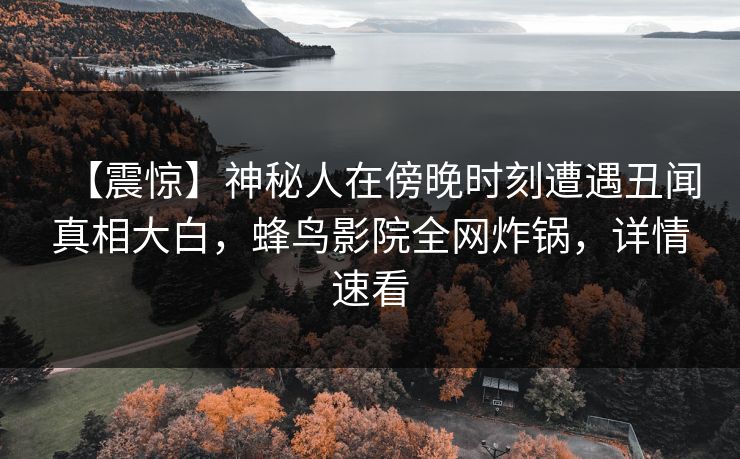 【震惊】神秘人在傍晚时刻遭遇丑闻真相大白，蜂鸟影院全网炸锅，详情速看