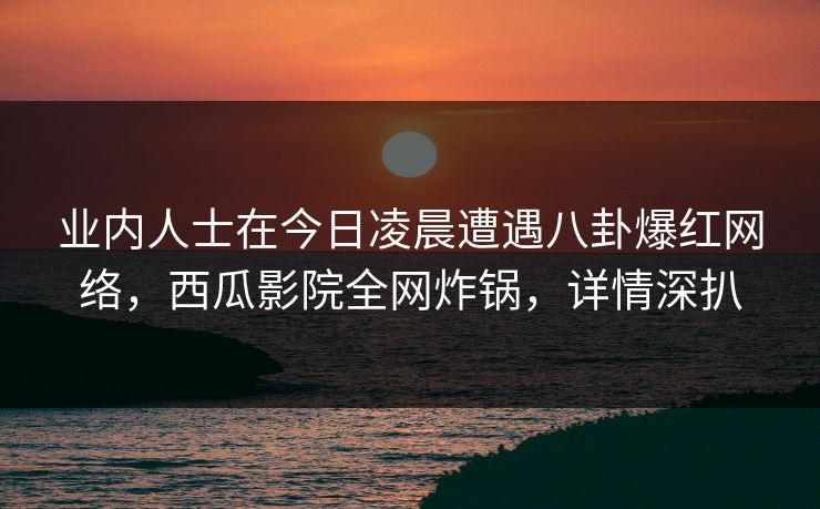业内人士在今日凌晨遭遇八卦爆红网络，西瓜影院全网炸锅，详情深扒