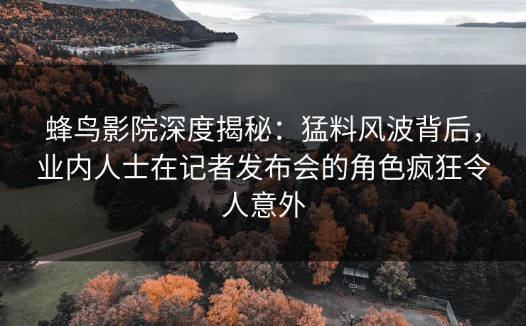 蜂鸟影院深度揭秘：猛料风波背后，业内人士在记者发布会的角色疯狂令人意外