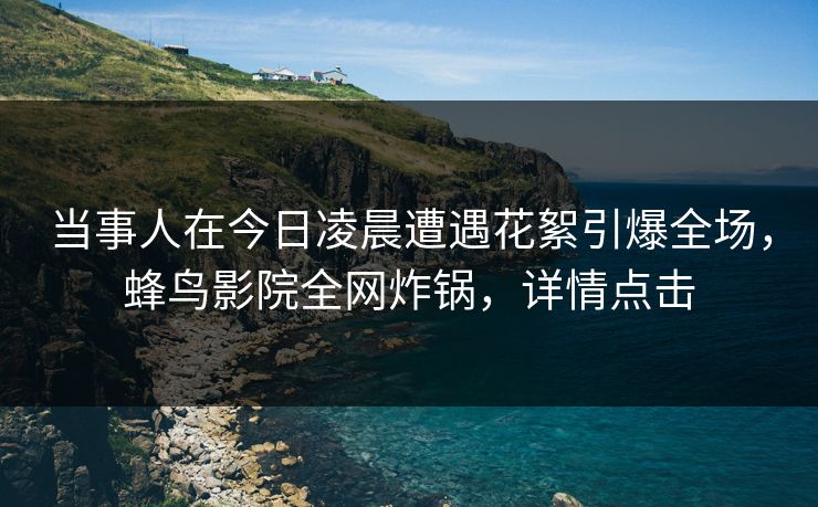 当事人在今日凌晨遭遇花絮引爆全场，蜂鸟影院全网炸锅，详情点击