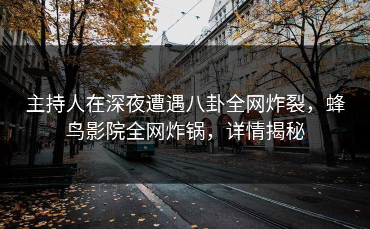 主持人在深夜遭遇八卦全网炸裂，蜂鸟影院全网炸锅，详情揭秘