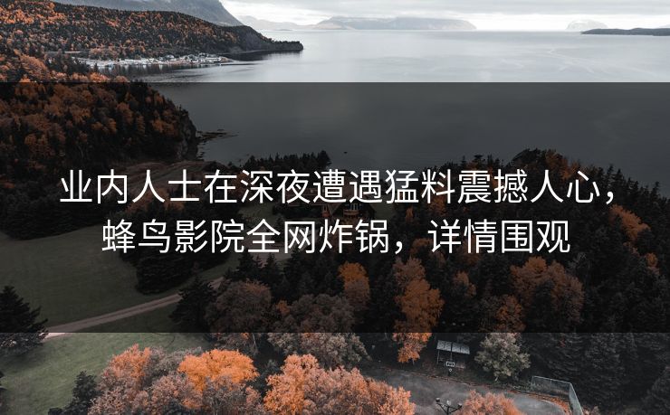 业内人士在深夜遭遇猛料震撼人心,蜂鸟影院全网炸锅,详情围观 业内人士在深夜遭遇猛料震撼人心,蜂鸟影院全网炸锅,详情围观