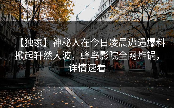 【独家】神秘人在今日凌晨遭遇爆料掀起轩然大波，蜂鸟影院全网炸锅，详情速看
